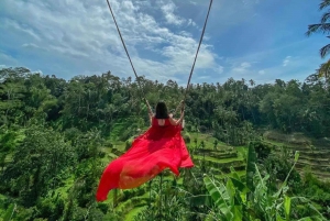 Visita al Bosque de los Monos, Templo, Terraza de Arroz y Cascada de Ubud