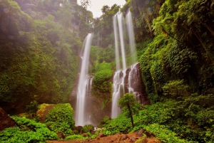 Private Sekumpul Waterfall Hiking Tour
