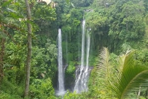 Tour privato e trekking alle cascate di Sekumpul