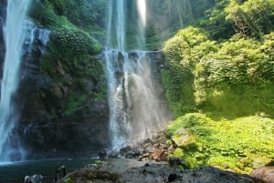 Depuis Bali : excursion privée aux cascades de Sekumpul