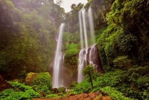 Depuis Bali : excursion privée aux cascades de Sekumpul