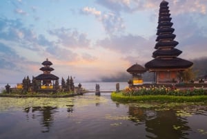 Excursión Privada a la Cascada de Sekumpul