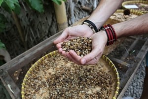 Excursión Privada a la Cascada de Sekumpul