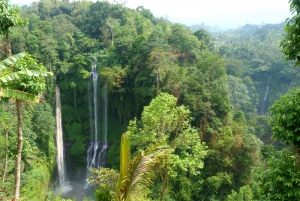 Private Sekumpul Waterfall Hiking Tour