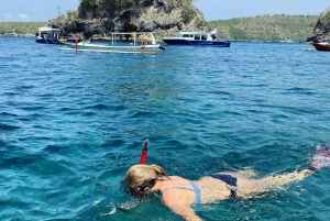 Private Snorkeling with Majestic Mantas and Land Exploration