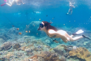 Private Snorkeling with Majestic Mantas and Land Exploration