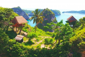 Private Tour. Bali-Nusa Penida. West & East. All-inclusive.