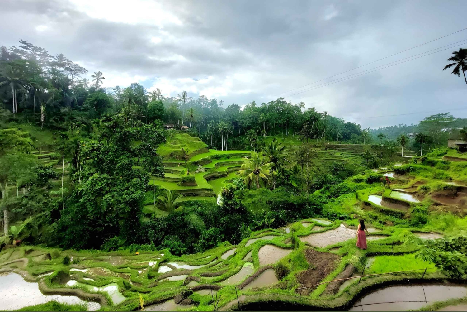 Private Ubud Highlights Midday Tour with Flexible Pickup