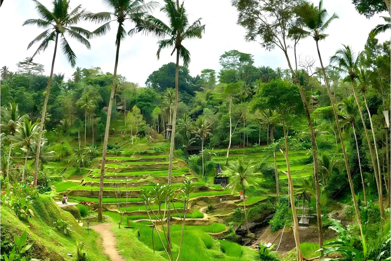 Private Ubud Highlights Midday Tour with Flexible Pickup