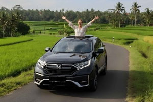 Private Ubud Highlights Midday Tour with Flexible Pickup