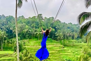 Private Ubud Highlights Midday Tour with Flexible Pickup