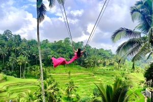 Private Ubud Highlights Midday Tour with Flexible Pickup
