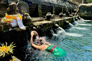 Private Ubud Highlights Midday Tour with Flexible Pickup