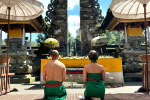 Private Ubud Highlights Midday Tour with Flexible Pickup