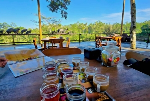 Private Ubud Highlights Midday Tour with Flexible Pickup