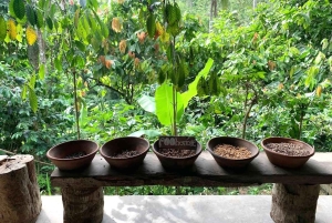 Private Ubud Highlights Midday Tour with Flexible Pickup