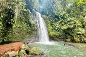 Private Ubud Highlights Midday Tour with Flexible Pickup