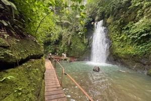 Private Ubud Highlights Midday Tour with Flexible Pickup