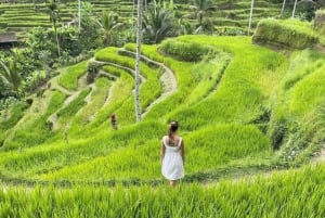 Private ubud tour Rice teracce, temple & Secret waterfall