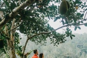 Private Ubud Tour With Professional Photographer with Edit