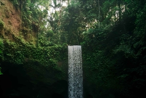 Private Ubud Waterfall Experience with Local Driver-Guide