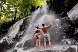 Private Ubud Waterfall Experience with Local Driver-Guide
