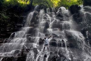 Private Ubud Waterfall Experience with Local Driver-Guide