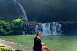 Private Ubud Waterfall Experience with Local Driver-Guide