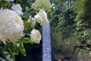 Private Ubud Waterfall Experience with Local Driver-Guide