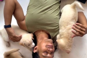 Bali: Corso di yoga per cuccioli a Canggu con bevande rinfrescanti