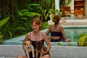 Bali Clase de Yoga para Cachorros en Canggu con Bebidas Refrescantes