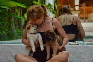 Bali: Canggu Puppy Yoga Class virkistävien juomien kera.