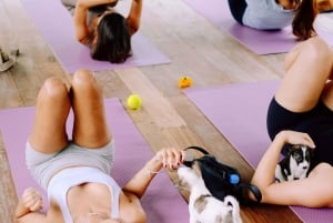 Happy Puppy Yoga Canggu