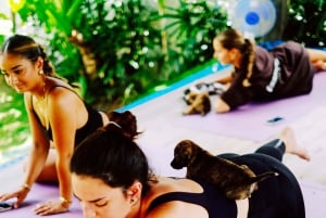 Happy Puppy Yoga Canggu