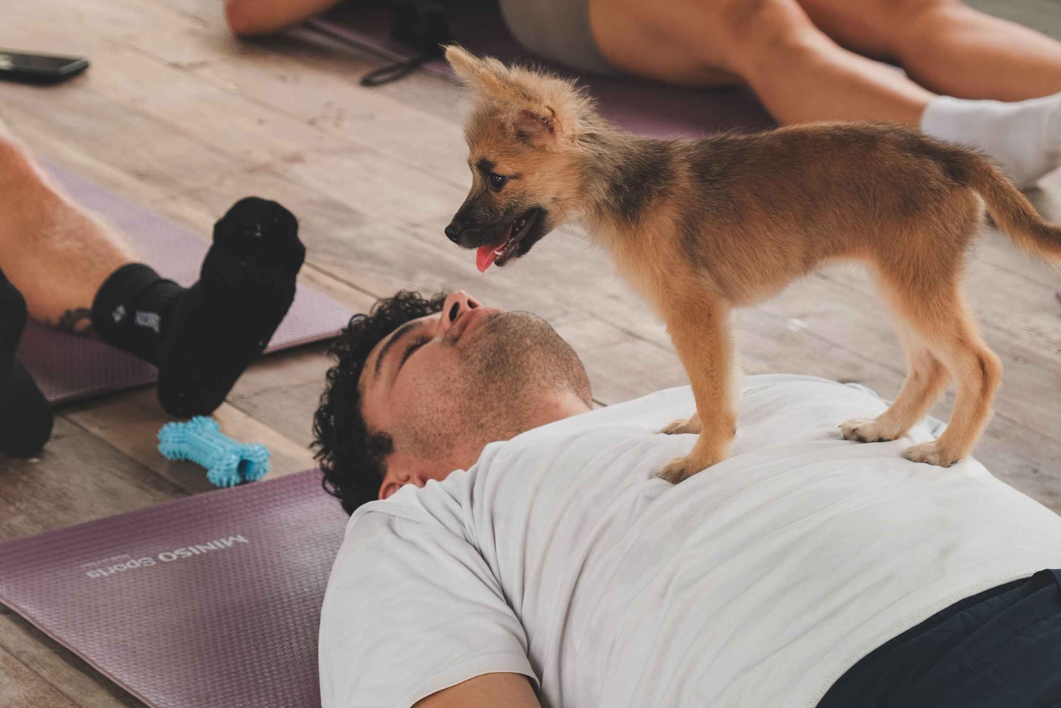 Йога с щенками на Бали, Чангу — лучшее развлечение на Бали