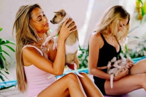 Йога с щенками на Бали, Чангу — лучшее развлечение на Бали