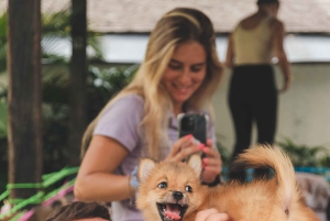 Йога с щенками на Бали, Чангу — лучшее развлечение на Бали