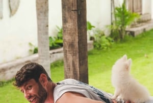 Йога с щенками на Бали, Чангу — лучшее развлечение на Бали