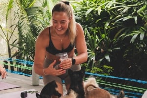 Йога с щенками на Бали, Чангу — лучшее развлечение на Бали