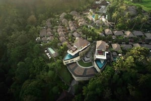 Rice Paddy Elegance: Gourmetfrukost eller afternoon tea i Ubud