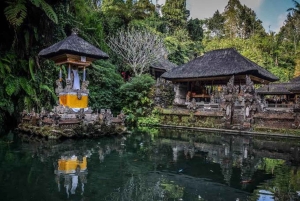 Tour de 1 día: terraza de arroz, cascada y templo
