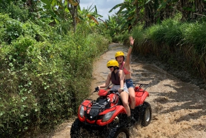 Rice terraces ,Ubud adventure gorila face ATV & ravting
