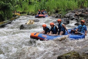 Riverside Thrills: Ayung Adventure With Balinese Flavors
