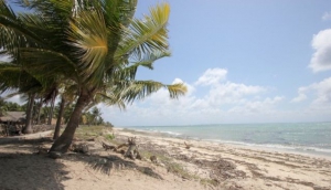 Rote Island Properties Bali