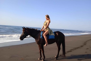 Playa de Saba: Paseo a Caballo y Experiencia de Liberación de Tortugas