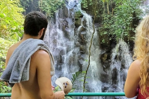 Playa de Saba: Paseo a Caballo y Experiencia de Liberación de Tortugas