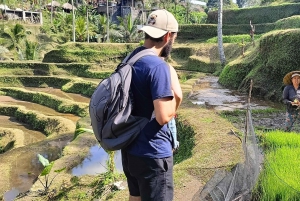 Playa de Saba: Paseo a Caballo y Experiencia de Liberación de Tortugas