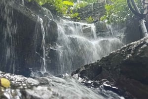 Bali: Horse Riding & Turtle Release Experience at Saba Beach