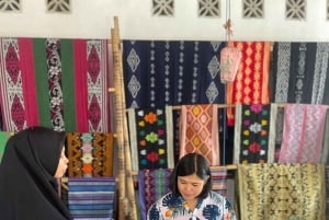 Sade Village, Kuta Lombok, and South Coasts: Private Tour