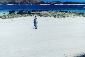 Sade Village, Kuta Lombok, and South Coasts: Private Tour